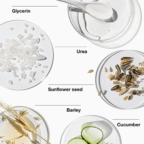 image 1, glycerin, urea, sunflower seed, barley and cucumber. image 2, hydrate and strengthen. image 3, free of fragrance, drying alcohol, sodium lauryl sulfate, sodium laureth sulfate.