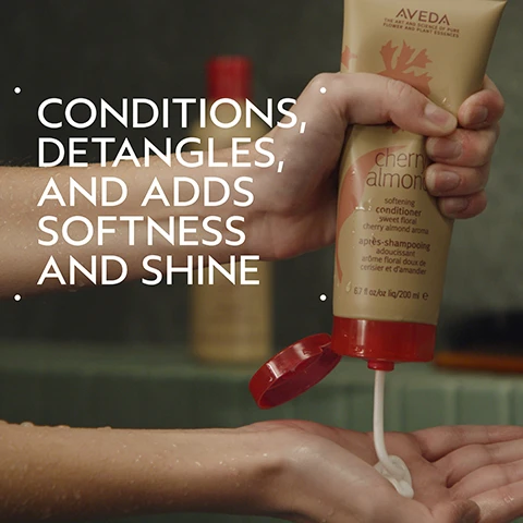Image 2 - A hand squeezes a beige Aveda Cherry Almond softening conditioner tube, dispensing white product into the palm of the other hand, with the overlay text Conditions, Detangles, and Adds Softness and Shine, and visible text on the tube that reads Aveda The Art and Science of Pure Flower and Plant Essences, cherry almond, softening conditioner sweet floral cherry almond aroma, après-shampooing adoucissant arôme floral doux de cerisier et damandier, 6.7 fl oz/oz liq/200 ml e. Image 3 - A split image shows a woman with her unwashed, wavy red hair on the left transforming into smooth, straight red hair on the right, with visible text BEFORE, AFTER, Unwashed Hair, and Results with Cherry Almond Softening Shampoo and Conditioner, Speed of Light Blow Dry Accelerator, Thickening Tonic, Botanical Repair TM Bond-Building Styling Crème, and Air Control Light Hold Hair Spray. Blow dried with Wooden Paddle Brush. Image 4 - A close-up of three oranges on a branch with green leaves and white blossoms, next to several dark brown tonka beans, set against a light beige circular area on a dark green background with text that reads UPLIFT YOUR MOOD and A SWEET FLORAL AROMA WITH TONKA BEAN, ORANGE, AND YLANG-YLANG. Image 5 - An infographic showing a three-step hair care routine: the first circular image depicts hands massaging shampoo into wet hair, the second shows a hand dispensing white conditioner from a tan bottle into another hand, and the third displays a person spraying hair product from a black bottle onto their hair, with the visible text How to Use 01 Cleanse Cherry Almond Softening Shampoo 02 Condition Cherry Almond Softening Conditioner & Leave-In Conditioner 03 Style Invati Ultra Advanced™ Thickening Foam & Texture Tonic, and on the conditioner bottle cherry almond softening conditioner doux cherry almond aroma après-shampooing adoucissant arôme cerise amande 6.7 fl oz/200 mL e. Image 6 - A split image displays a woman with shoulder-length blonde hair, showing a before and after comparison; on the left, her hair appears unwashed and straight, and on the right, it is voluminous and wavy, with the visible text BEFORE, AFTER, Unwashed Hair, and Results with Cherry Almond Softening Shampoo, Conditioner, and Leave-In Conditioner, Invati Ultra Advanced™ Thickening Foam, Texture Tonic and Woodle Paddle Brush. Blow dried with diffuser attachment and styled with curling iron. Image 7 - Three textured swatches of thick white cream are spread diagonally with ribbed lines on a light grey background. Image 8 - Three white logos against a background of dark green leaves and a red plant stem: the 100% Vegan logo with a V, the Certified B Corporation logo, and the Cruelty Free International Leaping Bunny logo.