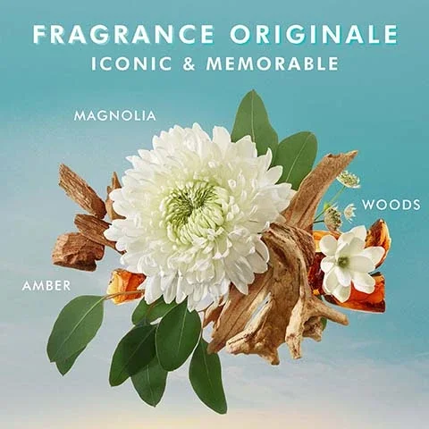 fragrance originale, iconic and memorable. magnolia, woods and amber.