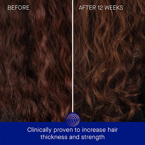 Image 3 - Image shows two side-by-side photos of wavy hair; the left photo labeled BEFORE shows thick, dark hair, while the right photo labeled AFTER 12 WEEKS shows lighter, slightly more defined curls, with text below stating Clinically proven to increase hair thickness and strength.
Image 4 - Side-by-side comparison of hair, showing frizzy hair on the left labeled BEFORE and smoother, healthier hair on the right labeled AFTER 12 WEEKS, with the text Clinically proven to increase volume and strength at the bottom.
Image 5 - A blue shampoo bottle with a copper cap is displayed against a blurred, wet background, with text that states clinically proven results: hair strength is increased by 2.9x, hair strand thickness is increased by 2.9x, and hair count is increased by 16%, with a note about a 12-week clinical trial.
Image 6 - A person with a light brown hand holds a blue shampoo bottle with a copper lid against a blurred light surface, displaying the text stating user results: 88% agree natural hair growth is visibly improved, 92% agree hair appears more full, and 91% agree hair feels thicker, with a footnote about a consumer perception study.
Image 7 - A blue shampoo bottle labeled Augustinus Bader with gold accents is centered, surrounded by text describing hair care benefits: TFC8®, Neem Extract, Watercress & Indian Cress Extracts, and Maca Root Extract.
Image 8 - Image of two shampoo bottles side by side on contrasting backgrounds; the left bottle labeled The Shampoo has a text description including weightless gel cleanser, cleansing & strengthening benefits, concerns of build-up and thinning, and is ideal for finer hair types, while the right bottle labeled The Rich Shampoo describes a rich cream cleanser, nourishing & restoring benefits, concerns of dryness and damage, and is ideal for thicker hair types.