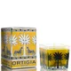 Ortigia Zagara Orange Blossom Square Candle