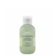 Aveda Pure Abundance Hair Potion (20g)