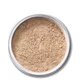 EX1 Cosmetics Pure Crushed Mineral Powder Foundation - M100