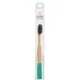 Spotlight Oral Care Bamboo Toothbrush - Teal